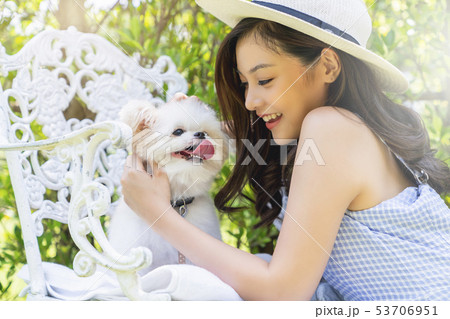 女性　ペット　ライフスタイル 53706951