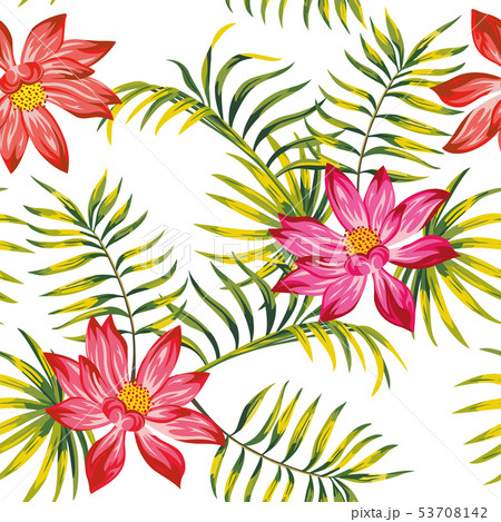 Tropical vector lotus flowers leaves seamless Tropical vector lotus flowers leaves seamless 53708142