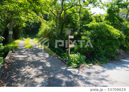 鋸山 登山道入り口 （千葉県富津市金谷） 2019年5月撮影 53709029