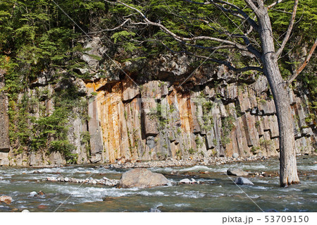 岩手県 初夏 新緑の松川玄武岩 渓谷の写真素材