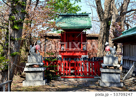 小樽市水天宮境内社の稲荷神社 53709247