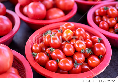 トマト ﾄﾏﾄ とまと 53709592