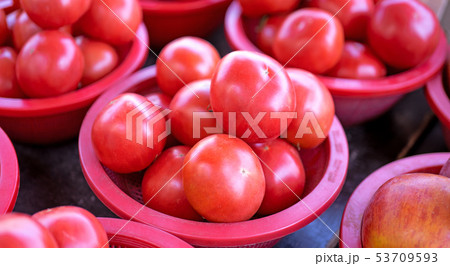 トマト ﾄﾏﾄ とまと 53709593