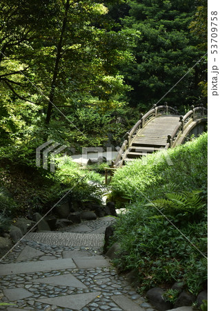 小石川後楽園 円月橋 小石川後楽園 円月橋 53709758