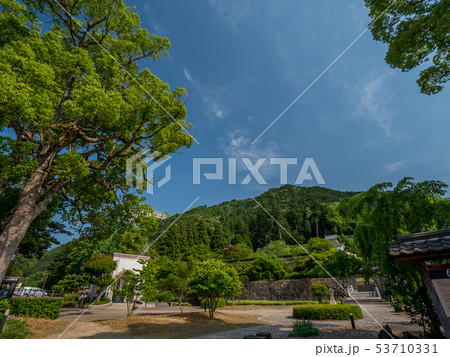 新緑の出石城跡 53710331