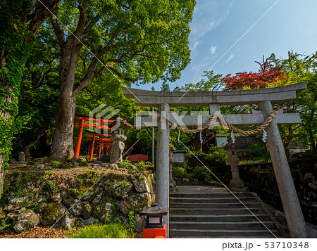新緑の出石城跡 53710348