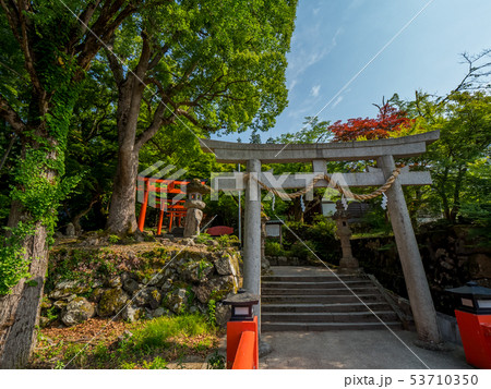 新緑の出石城跡 53710350