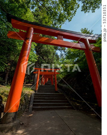 新緑の出石城跡 53710351