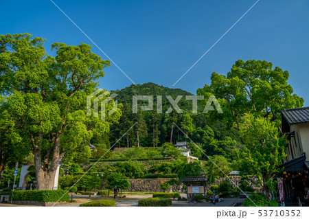 新緑の出石城跡 53710352