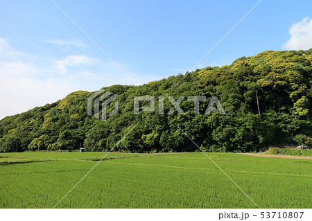 梅田川遊歩道（ホタルの里コース） 53710807
