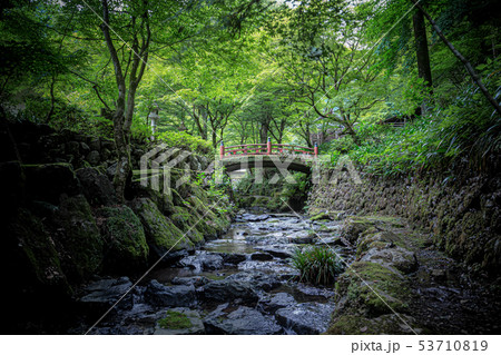 新緑の山寺 新緑の山寺 53710819
