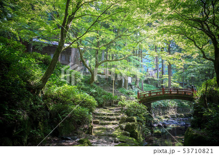 新緑の山寺 新緑の山寺 53710821