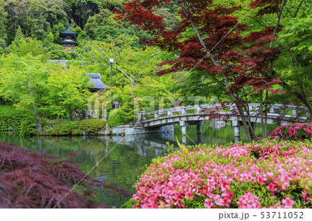 永観堂 新緑 永観堂 新緑 53711052