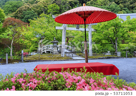 永観堂　新緑 53711053