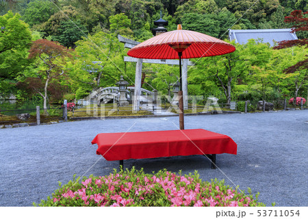 永観堂 新緑 永観堂 新緑 53711054