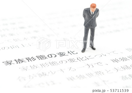 家族形態の変化 53711539