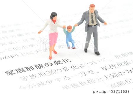 家族形態の変化 53711683