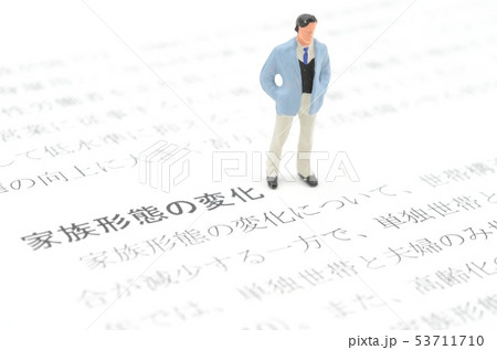 家族形態の変化 53711710