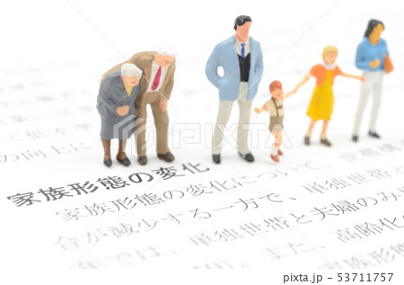 家族形態の変化 53711757