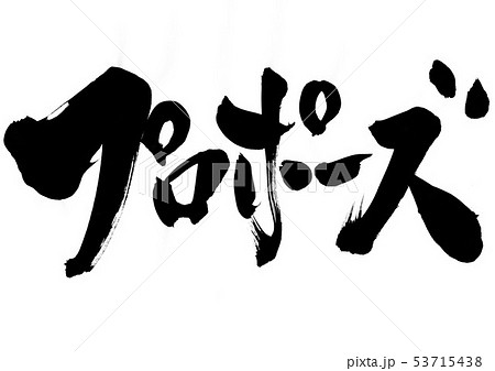 プロポーズ　・・・文字 53715438