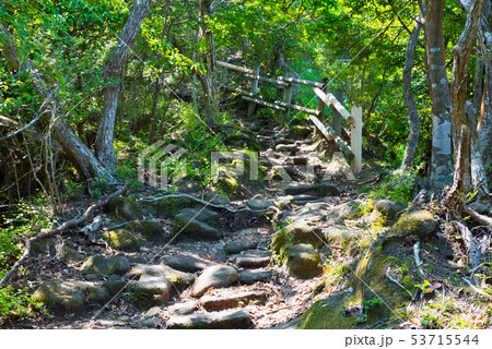 鋸山 登山道 関東ふれあいの道コース （千葉県） 2019年5月撮影 53715544