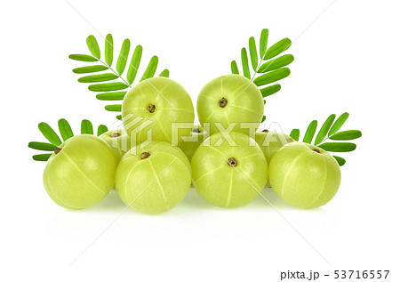 Indian gooseberry isolated on white background 53716557