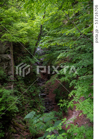 新緑の西沢渓谷 なれいの滝 新緑の西沢渓谷 なれいの滝 53716706