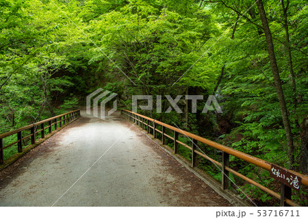 新緑の西沢渓谷 なれいの滝と なれい沢橋 新緑の西沢渓谷 なれいの滝と なれい沢橋 53716711