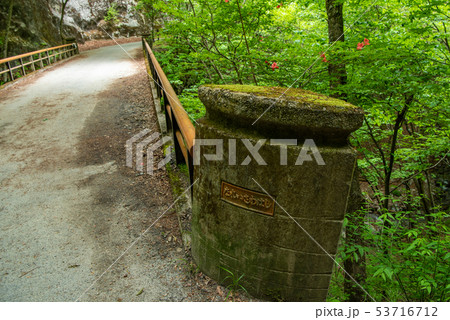 新緑の西沢渓谷  なれい沢橋 新緑の西沢渓谷  なれい沢橋 53716712