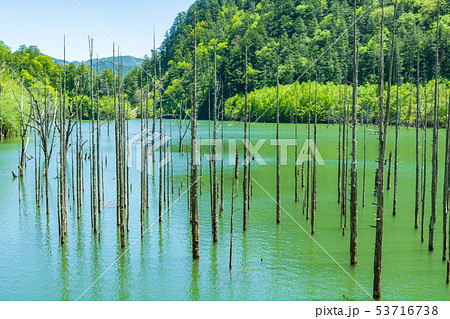 新緑の自然湖 新緑の自然湖 53716738