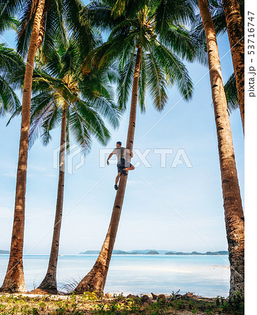Man sits on palm tree and looks into distance, Man sits on palm tree and looks into distance, 53716747