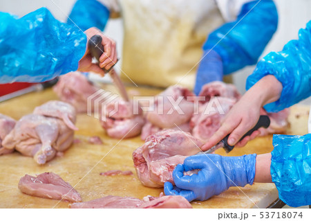 Chicken, close up of poultry processing in food Chicken, close up of poultry processing in food 53718074