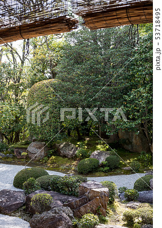 妙心寺退蔵院、元信の庭 53718495