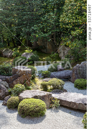 妙心寺退蔵院、元信の庭 53718497