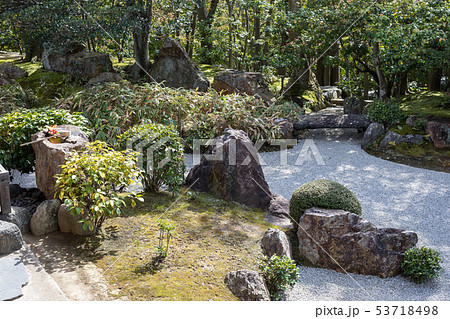 妙心寺退蔵院、元信の庭 53718498