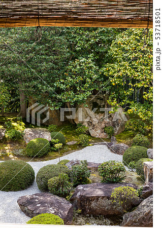 妙心寺退蔵院、元信の庭 53718501