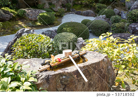妙心寺退蔵院、元信の庭、手水鉢 53718502
