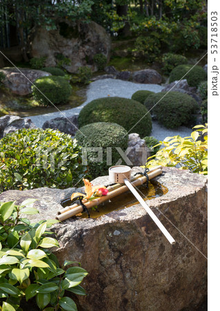 妙心寺退蔵院、元信の庭、手水鉢 53718503