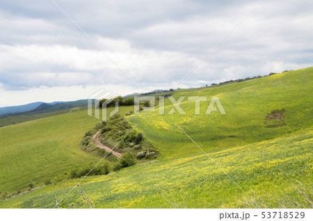 Hills landscape with field and cloudy sky 53718529