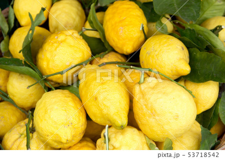 Sorrento lemons on the market 53718542
