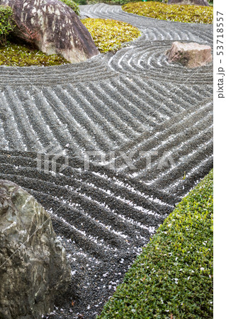 妙心寺退蔵院、陰陽の庭の枯山水に散る紅しだれ桜 53718557