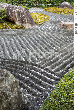 妙心寺退蔵院、陰陽の庭の枯山水に散る紅しだれ桜 53718558