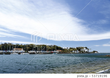 諸磯(春) 諸磯(春) 53719196