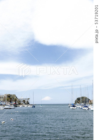 諸磯（春） 53719201