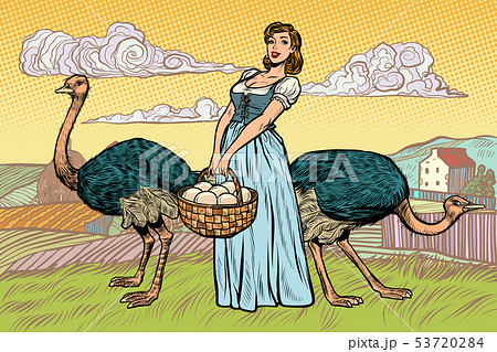 ostrich farm eggs. woman peasant farmer 53720284