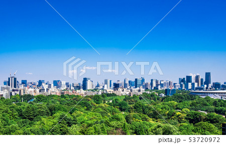 東京シティビュー　新宿御苑と新国立競技場、都心部の町並み 53720972