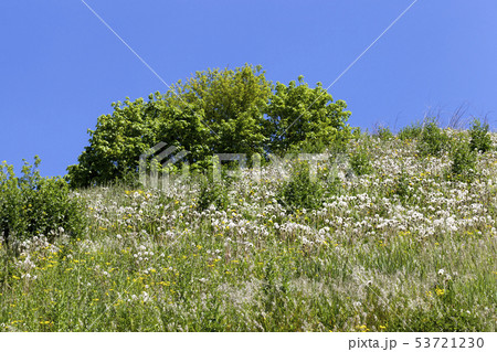 Spring landscape Spring landscape 53721230