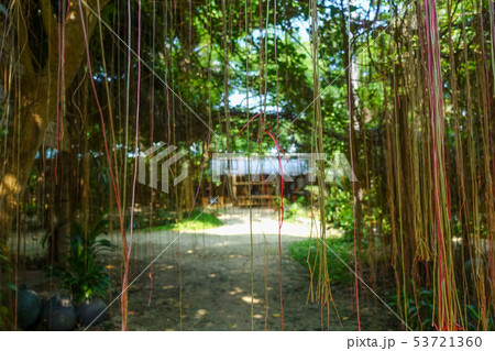 石垣島の古民家 53721360