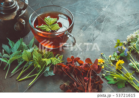 Medicinal herbs, healthy herbal tea in glass mug. Medicinal herbs, healthy herbal tea in glass mug. 53721615