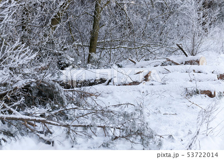 Snow drifts in winter Snow drifts in winter 53722014